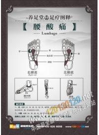 足療店標(biāo)語 足療穴位圖 腰酸痛