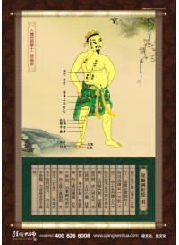 養(yǎng)生館圖片 人體經(jīng)絡(luò)圖 十二正經(jīng)--足厥陰肝經(jīng)(丑)