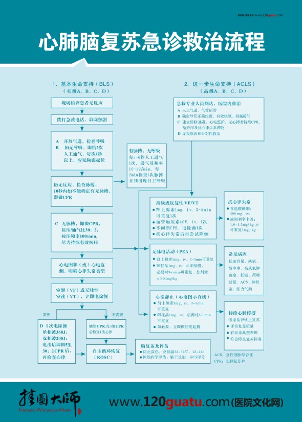 心肺復(fù)蘇急診救治流程圖