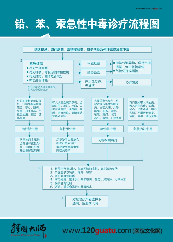 鉛、笨、汞急性中毒診療流程圖 醫(yī)院急救流程